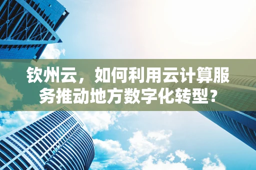 钦州云，如何利用云计算服务推动地方数字化转型？
