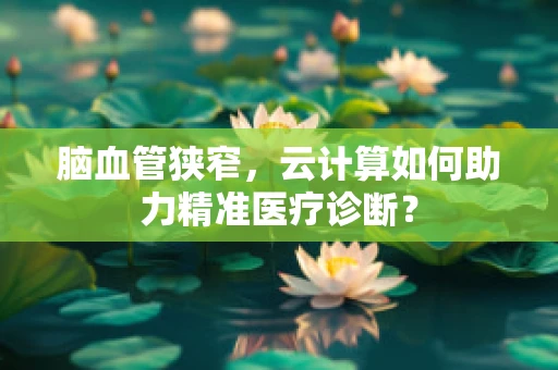 脑血管狭窄，云计算如何助力精准医疗诊断？