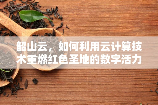 韶山云，如何利用云计算技术重燃红色圣地的数字活力？