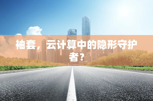 袖套，云计算中的隐形守护者？