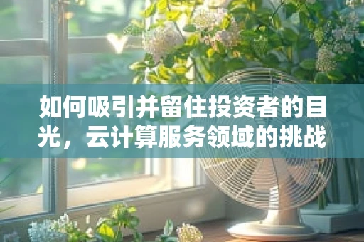 如何吸引并留住投资者的目光，云计算服务领域的挑战与策略