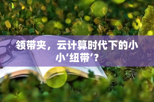 领带夹，云计算时代下的小小‘纽带’？