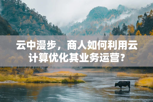 云中漫步，商人如何利用云计算优化其业务运营？