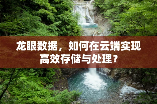 龙眼数据，如何在云端实现高效存储与处理？