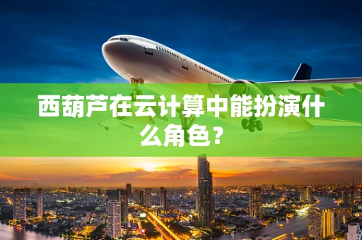 西葫芦在云计算中能扮演什么角色？