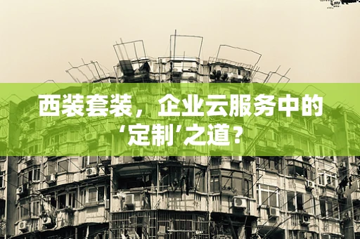 西装套装，企业云服务中的‘定制’之道？