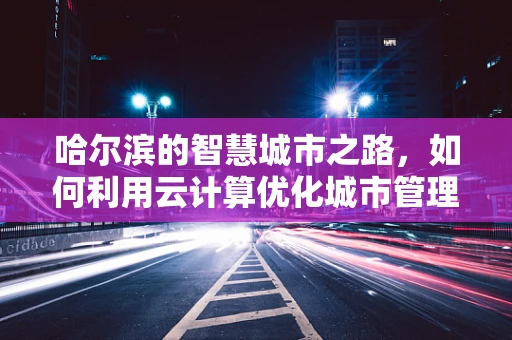 哈尔滨的智慧城市之路，如何利用云计算优化城市管理？
