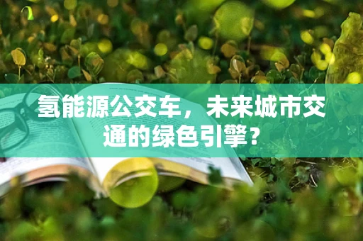 氢能源公交车，未来城市交通的绿色引擎？