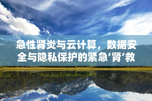 急性肾炎与云计算，数据安全与隐私保护的紧急‘肾’救？