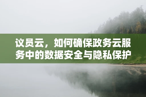议员云，如何确保政务云服务中的数据安全与隐私保护？