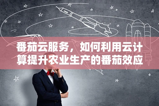 番茄云服务，如何利用云计算提升农业生产的番茄效应？