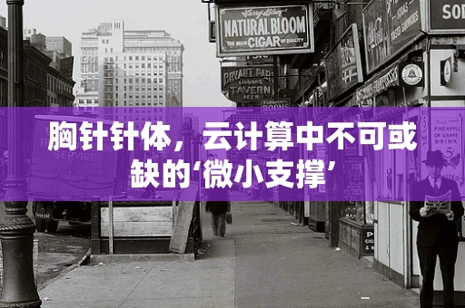 胸针针体，云计算中不可或缺的‘微小支撑’