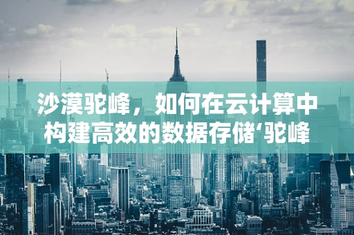 沙漠驼峰，如何在云计算中构建高效的数据存储‘驼峰’？