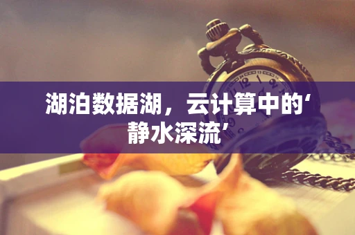湖泊数据湖，云计算中的‘静水深流’