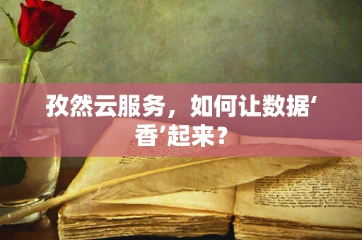孜然云服务，如何让数据‘香’起来？