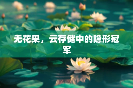 无花果，云存储中的隐形冠军