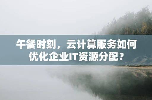 午餐时刻，云计算服务如何优化企业IT资源分配？