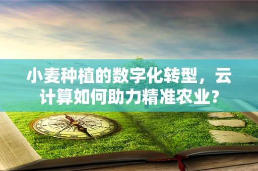 小麦种植的数字化转型，云计算如何助力精准农业？