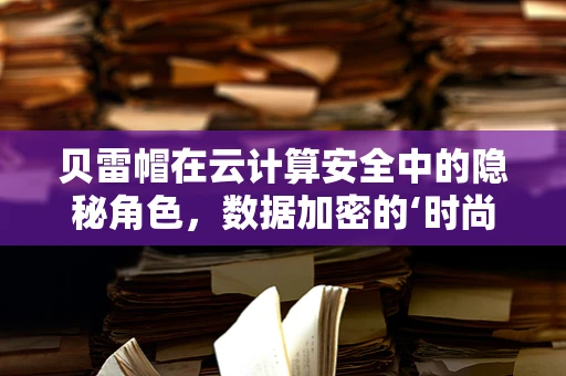 贝雷帽在云计算安全中的隐秘角色，数据加密的‘时尚’守护者？