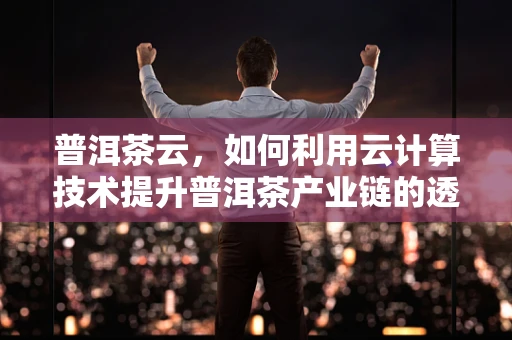 普洱茶云，如何利用云计算技术提升普洱茶产业链的透明度与效率？