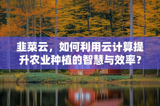 韭菜云，如何利用云计算提升农业种植的智慧与效率？