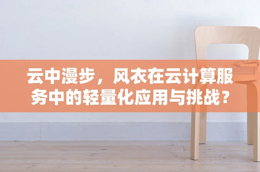 云中漫步，风衣在云计算服务中的轻量化应用与挑战？
