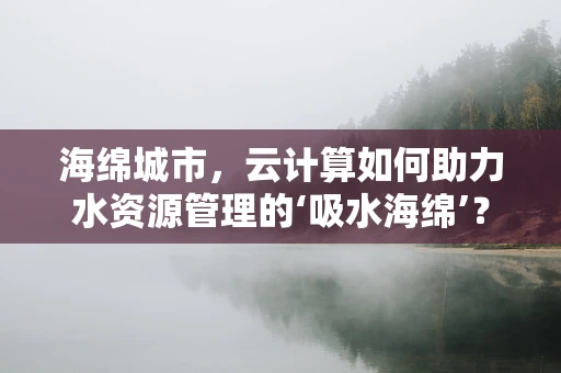 海绵城市，云计算如何助力水资源管理的‘吸水海绵’？
