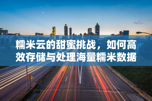 糯米云的甜蜜挑战，如何高效存储与处理海量糯米数据？