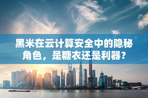 黑米在云计算安全中的隐秘角色，是糖衣还是利器？