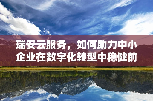 瑞安云服务，如何助力中小企业在数字化转型中稳健前行？