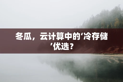冬瓜，云计算中的‘冷存储’优选？