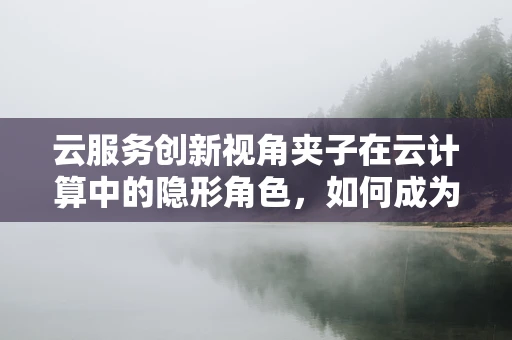 云服务创新视角夹子在云计算中的隐形角色，如何成为数据安全与管理的微小但关键一环？