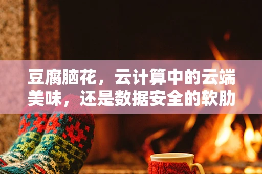 豆腐脑花，云计算中的云端美味，还是数据安全的软肋？
