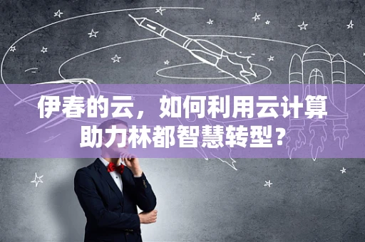 伊春的云，如何利用云计算助力林都智慧转型？