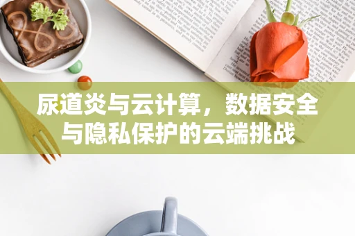 尿道炎与云计算，数据安全与隐私保护的云端挑战