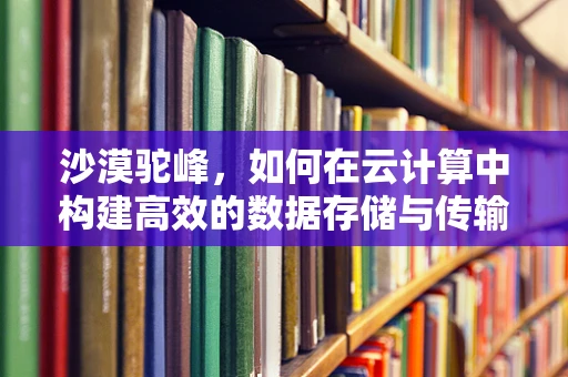 沙漠驼峰，如何在云计算中构建高效的数据存储与传输‘驼队’？