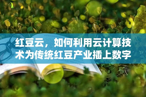 红豆云，如何利用云计算技术为传统红豆产业插上数字翅膀？