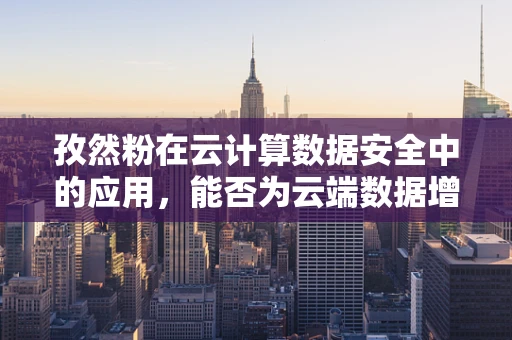 孜然粉在云计算数据安全中的应用，能否为云端数据增添一抹‘香料’？