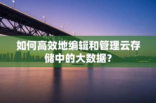 如何高效地编辑和管理云存储中的大数据？