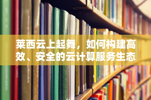 莱西云上起舞，如何构建高效、安全的云计算服务生态？