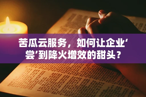 苦瓜云服务，如何让企业‘尝’到降火增效的甜头？