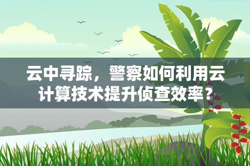 云中寻踪，警察如何利用云计算技术提升侦查效率？