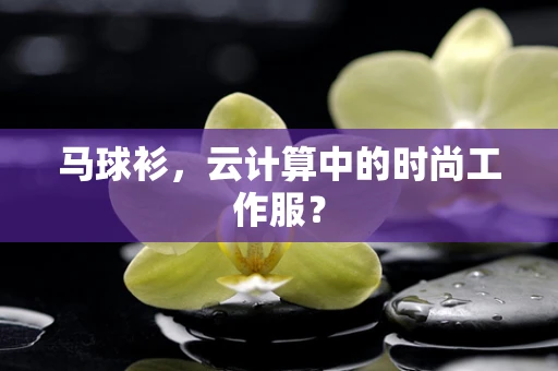 马球衫，云计算中的时尚工作服？