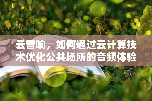 云音响，如何通过云计算技术优化公共场所的音频体验？