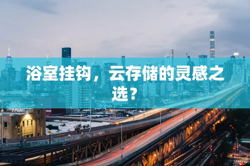 浴室挂钩，云存储的灵感之选？