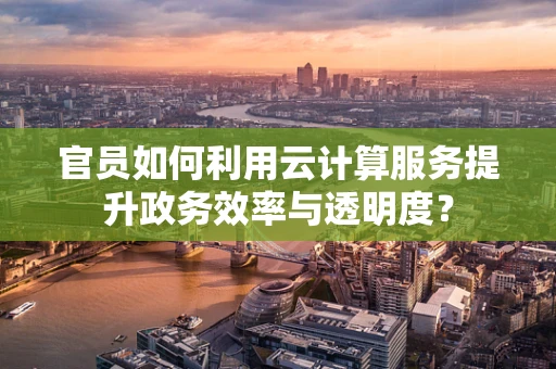 官员如何利用云计算服务提升政务效率与透明度？