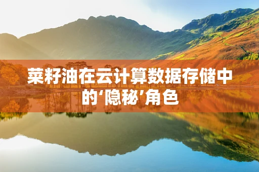 菜籽油在云计算数据存储中的‘隐秘’角色