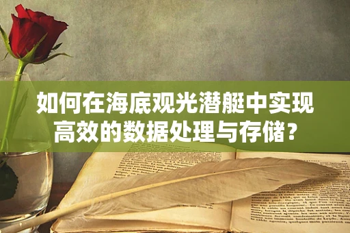 如何在海底观光潜艇中实现高效的数据处理与存储？