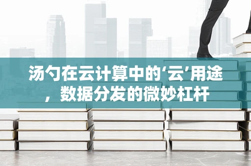 汤勺在云计算中的‘云’用途，数据分发的微妙杠杆