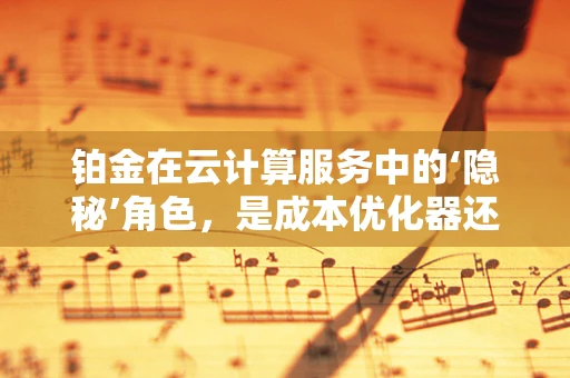 铂金在云计算服务中的‘隐秘’角色，是成本优化器还是安全守护神？
